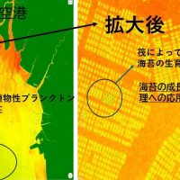 有明海苔の可視化