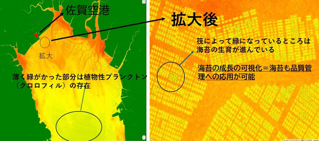 有明海苔の可視化 有明海苔の可視化