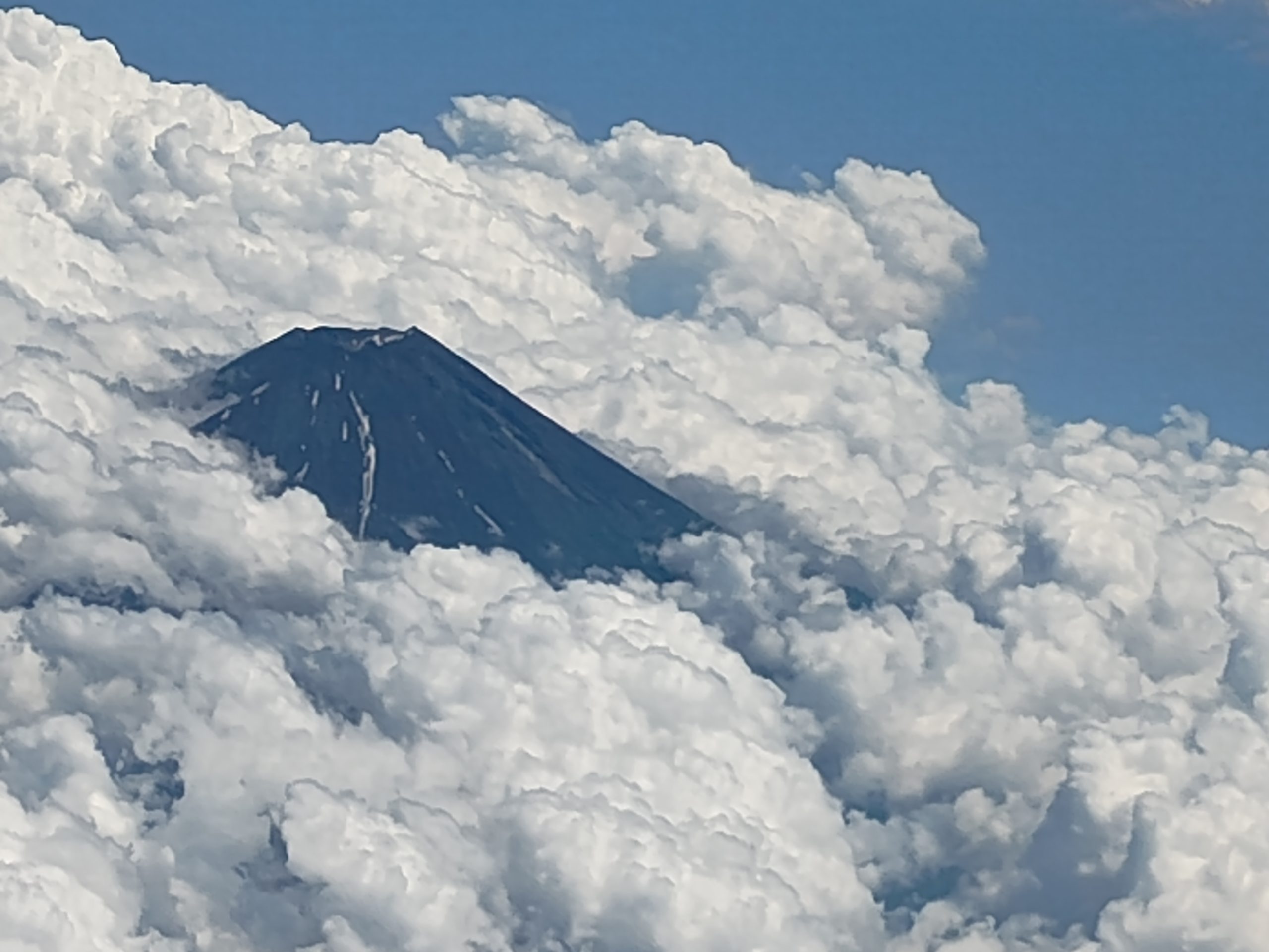 雲海と富士山