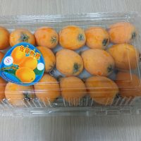 佐賀枇杷