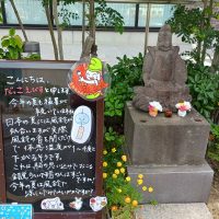 たこえびすです！